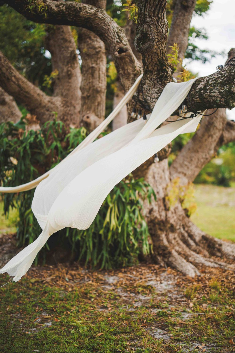 Flowing white fabric streamers decorating a large tree in an outdoor garden setting.