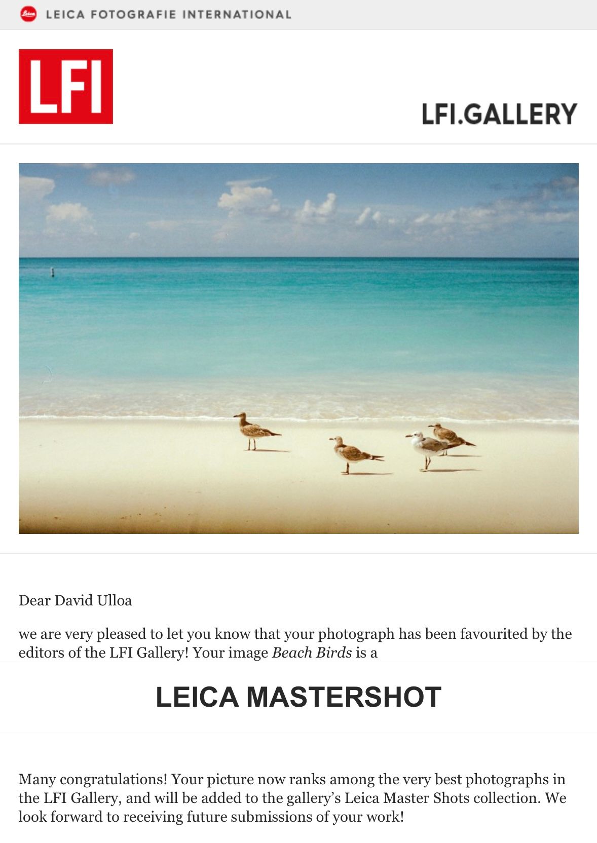 Three seabirds standing on a pristine white beach with turquoise waters in the background.