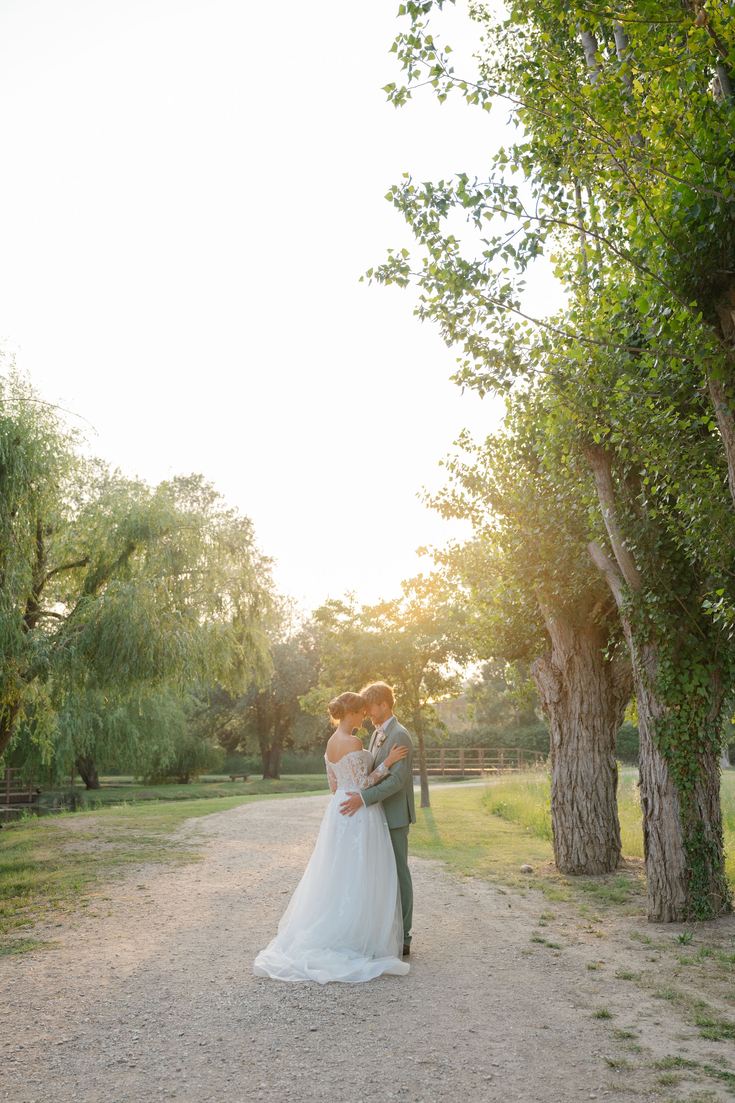 A couple embraces on a sunlit dirt path lined with willow trees during a romantic outdoor photoshoot at sunset.