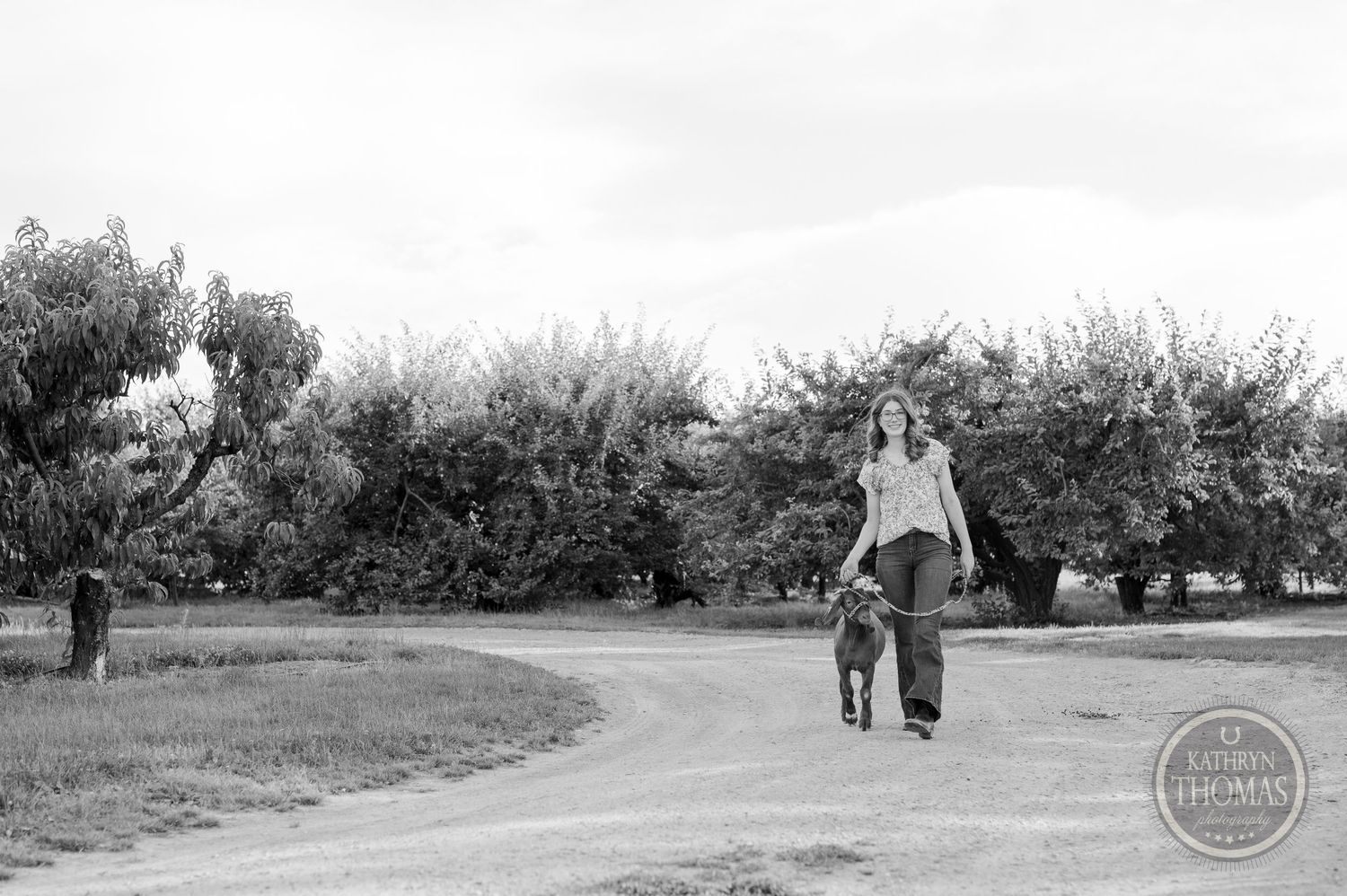 A black and white photo of someone walking a goat on a rural path surrounded by trees.