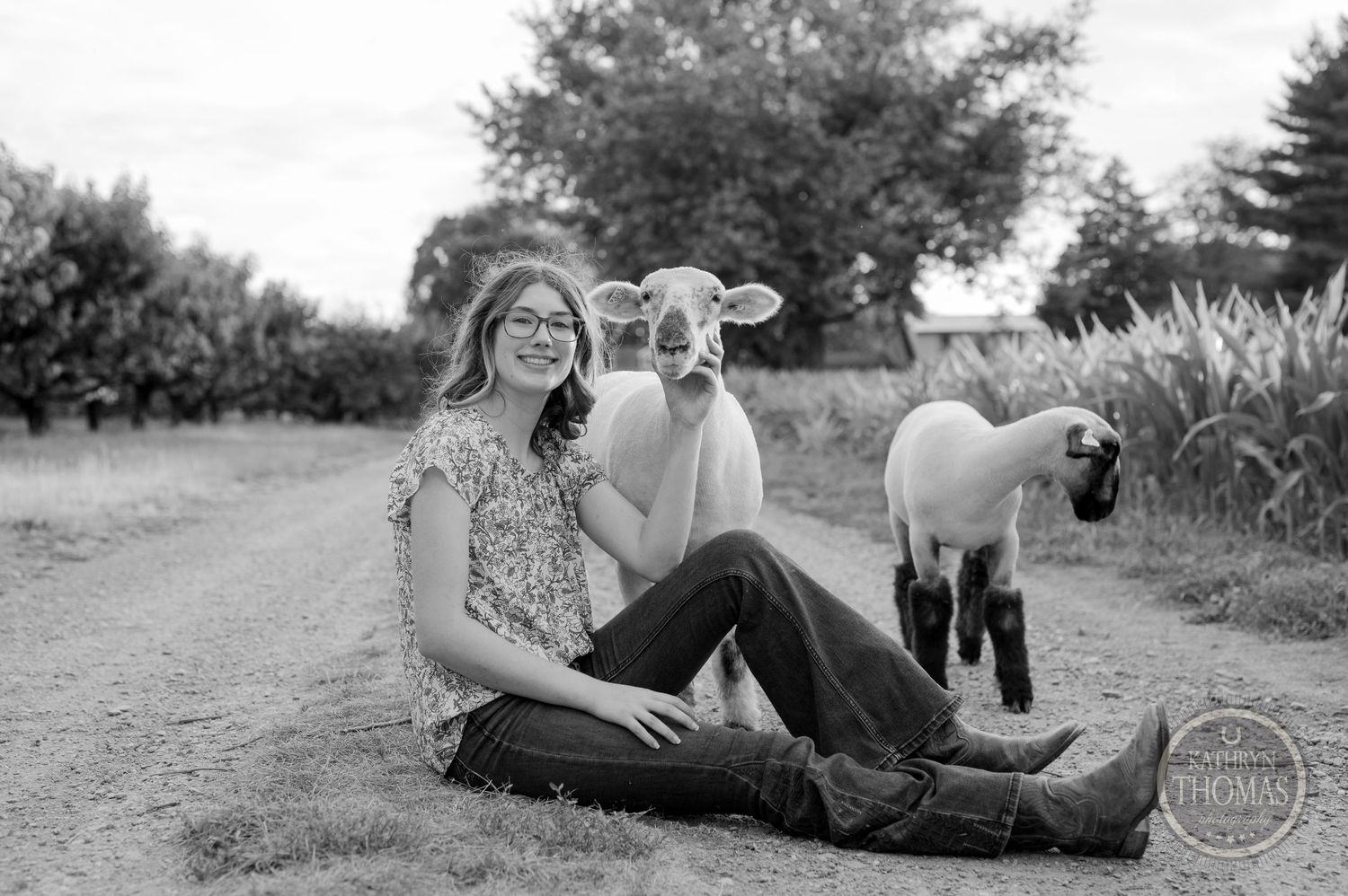 A playful moment with sheep on a rural path surrounded by trees and grass in black and white.