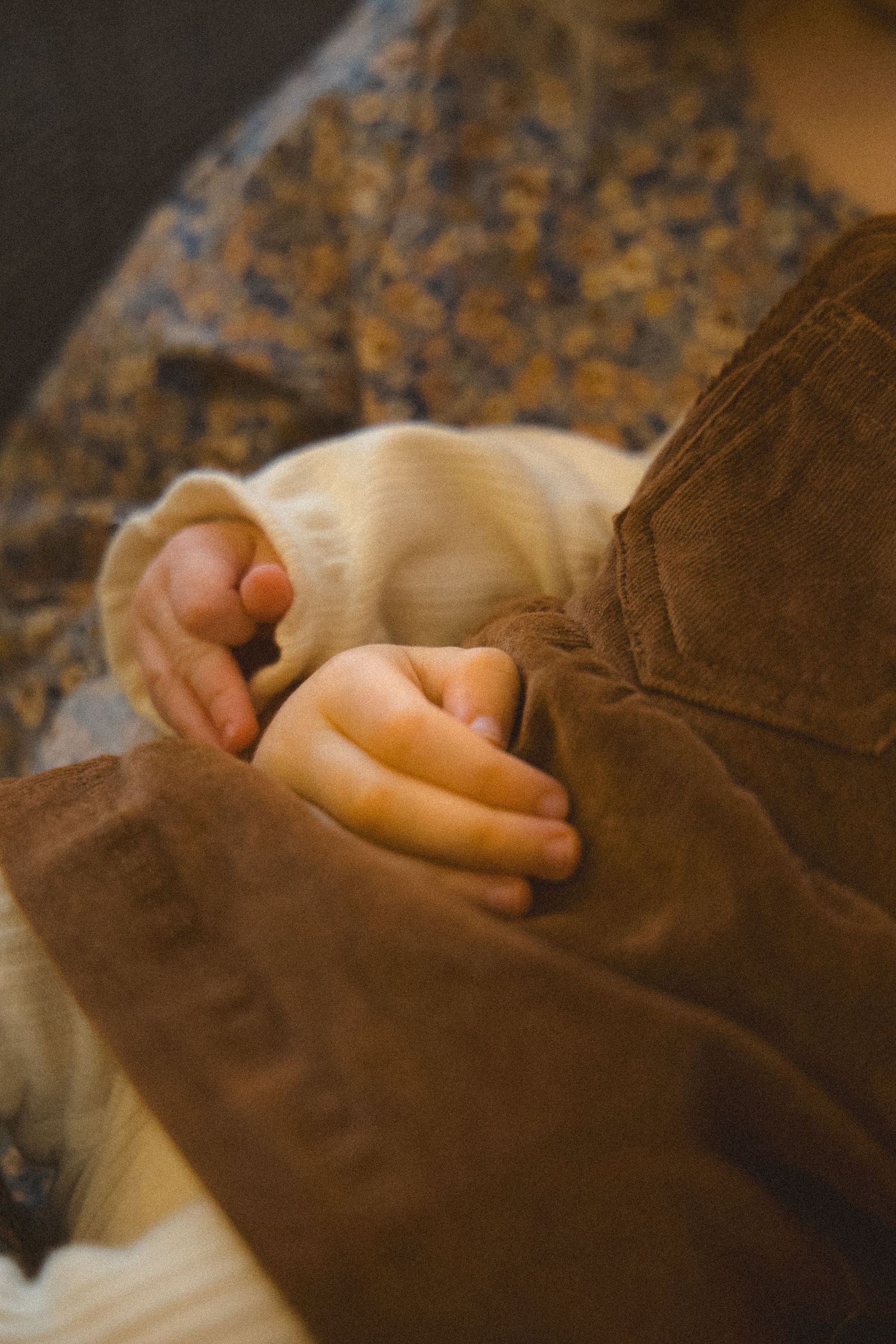 newborn and toddler touching hands