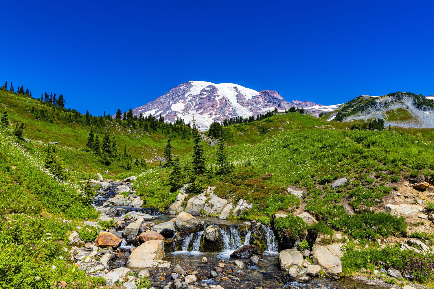 A snow capped rises above a grassy landscape with flowers and a small waterfall.