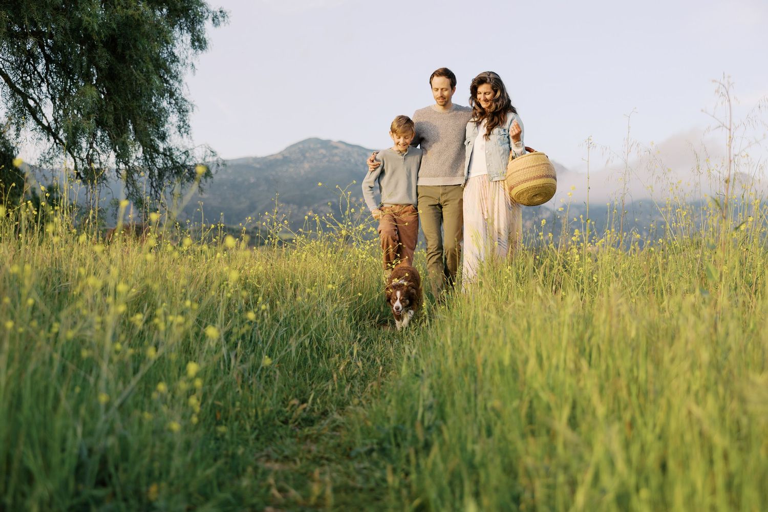 A family shares a tender moment on a sun-drenched grass field during golden hour as mountains stand in the background.