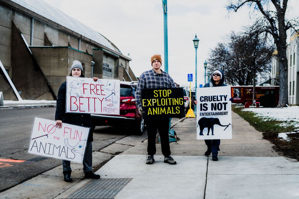 Protesters holding signs stand outside on a snowy sidewalk demonstrating for animal rights.