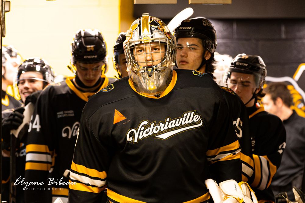 Group of hockey players in black and yellow jerseys celebrating after game.