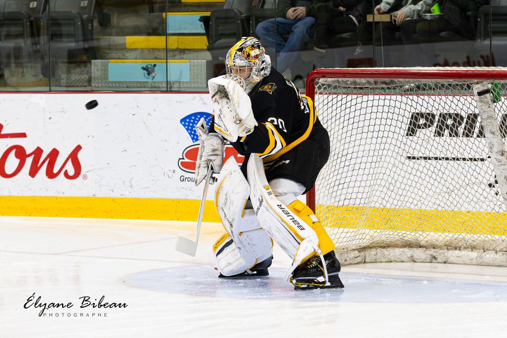 Hockey goalie in black and yellow uniform crouches in ready position at net during game.