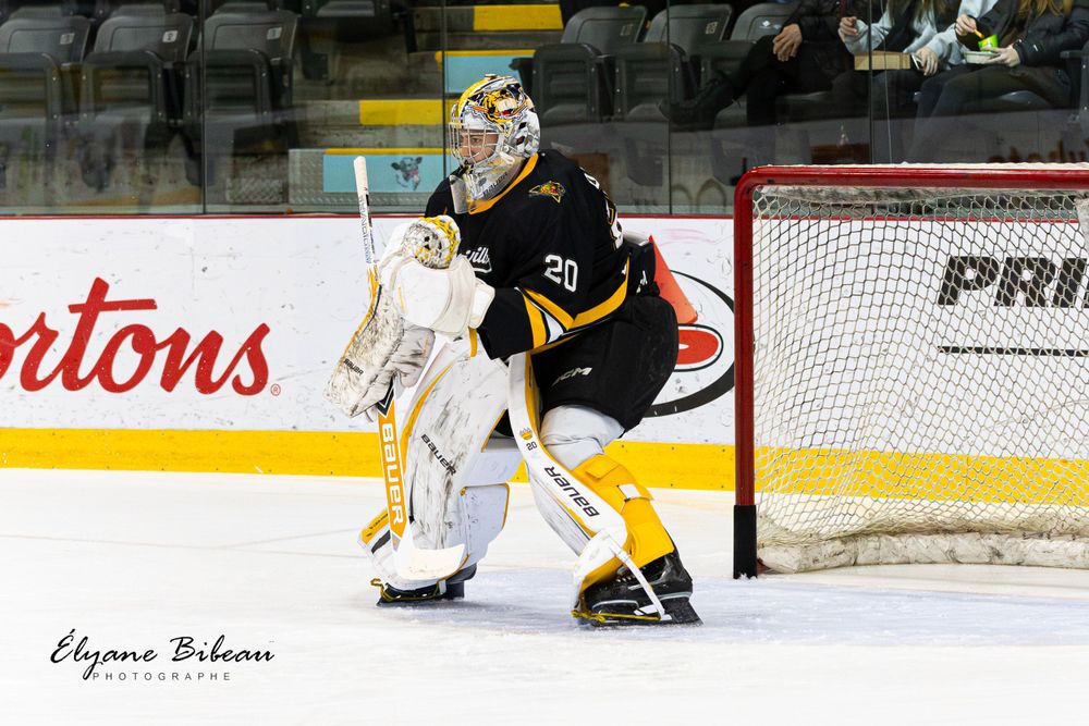 Hockey goalie in black and yellow uniform guards the net during game action.