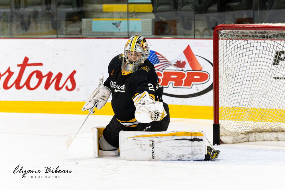 Hockey goalie in protective gear takes defensive stance in front of net during game.