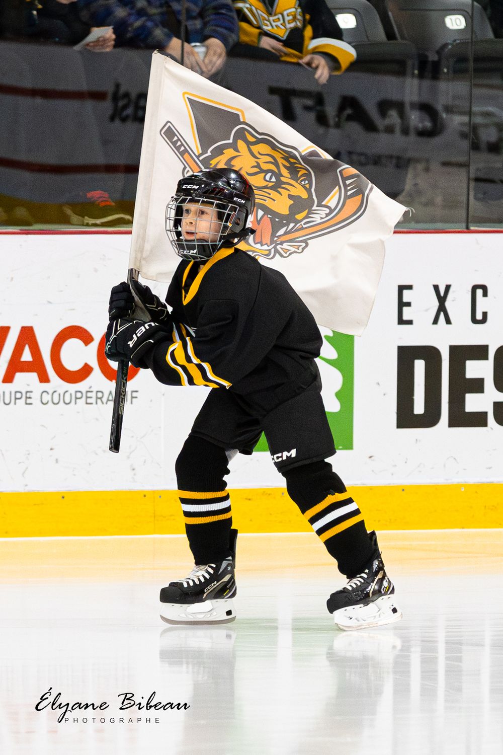 Young hockey player skates across ice carrying team flag with tiger logo during pre-game ceremony.