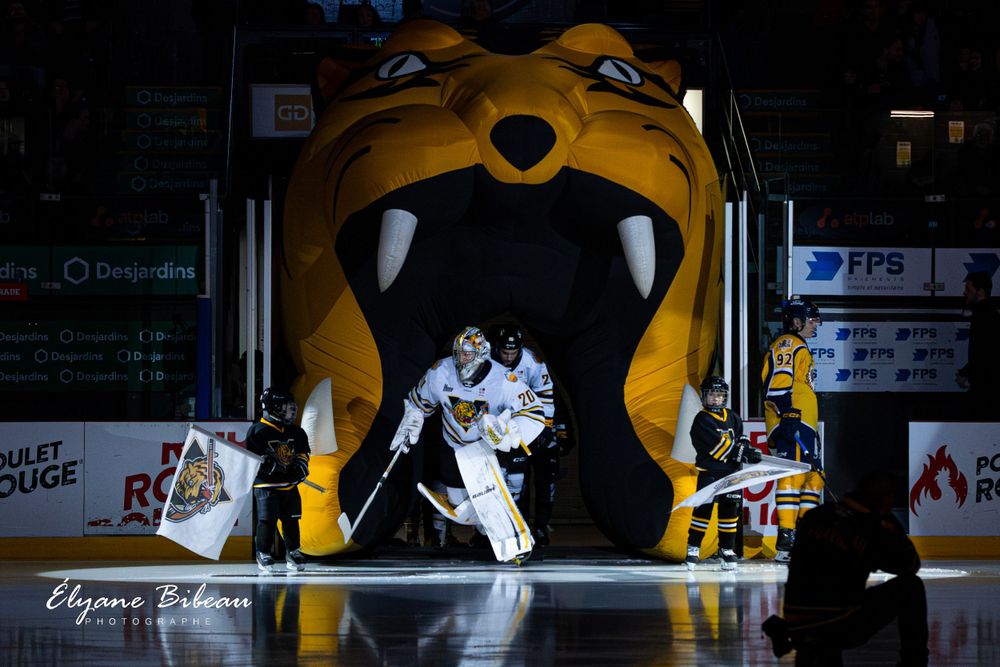 Hockey players emerge from large inflatable tiger head tunnel entrance during game introduction.