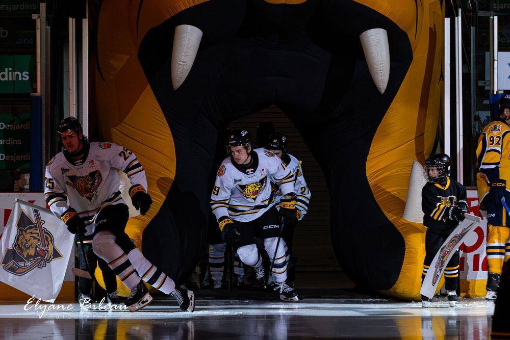 Hockey players emerge from a black and yellow tunnel entrance onto the ice during a game.
