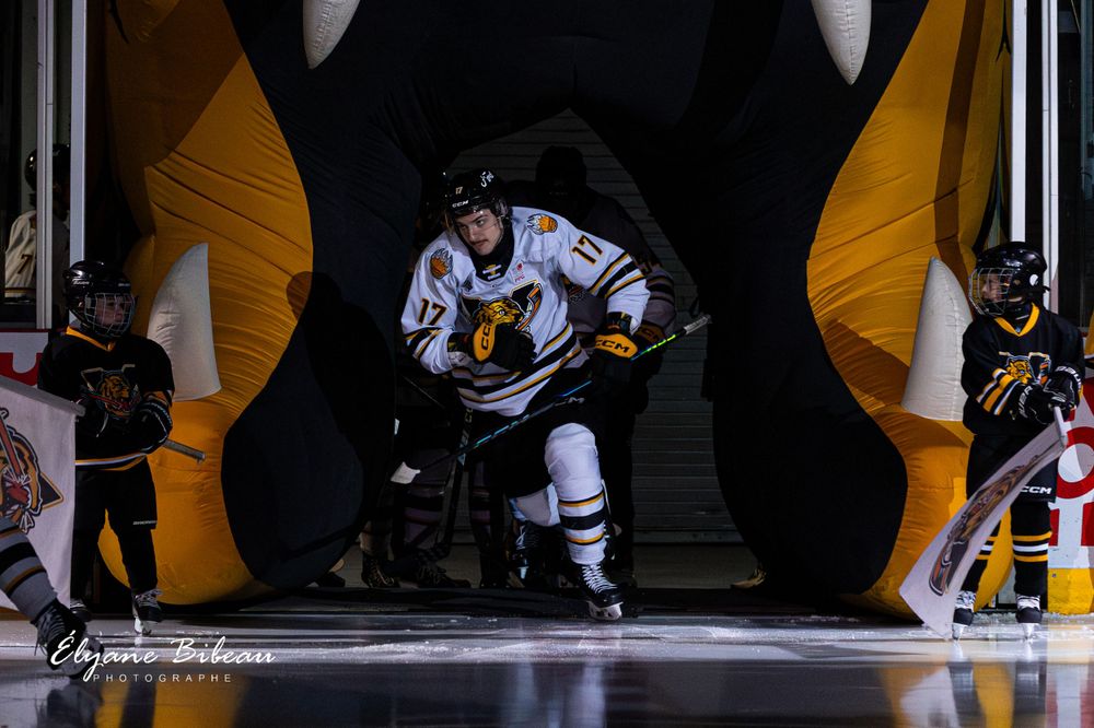Hockey player skates through dramatic tiger-themed tunnel entrance during team introduction.