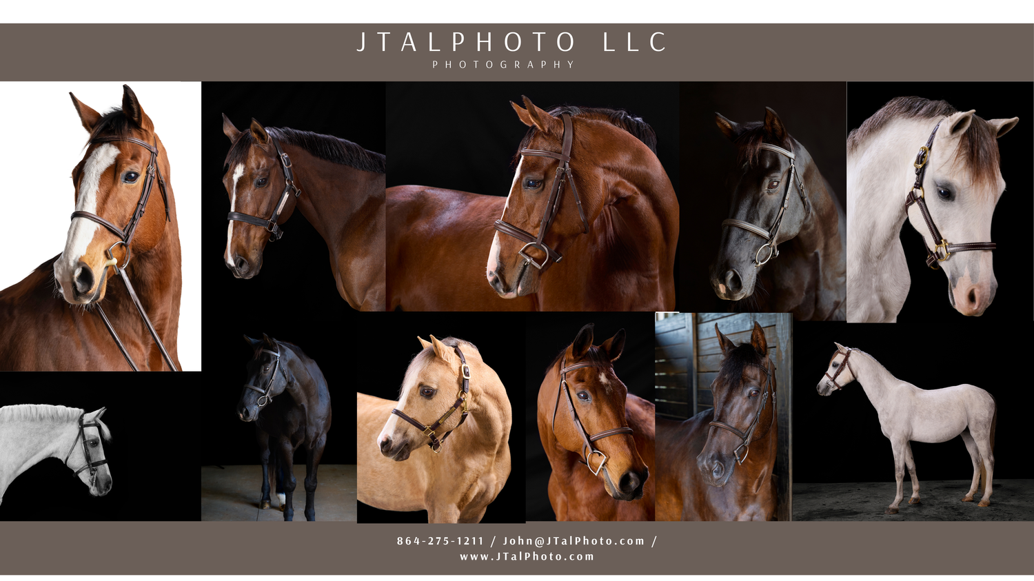 Horse Portraits
©Photography by John Talbert LLC