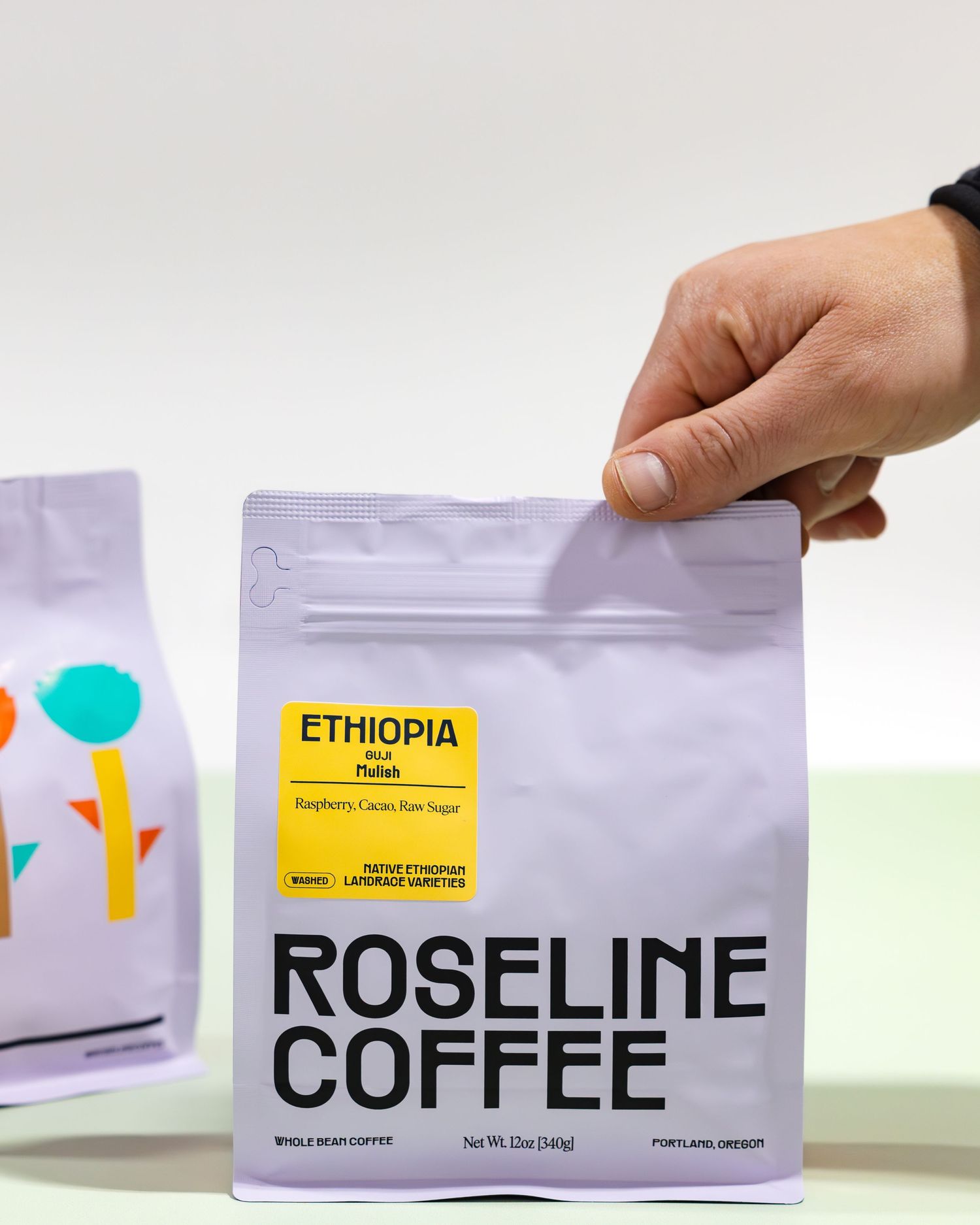 Hand holding a light purple bag of Roseline Coffee's Ethiopia roast against a soft neutral background.