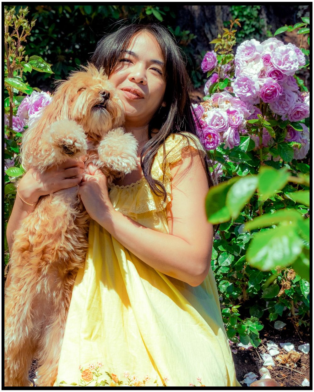 Person in yellow dress holding small brown dog while posing by pink flowers in garden.