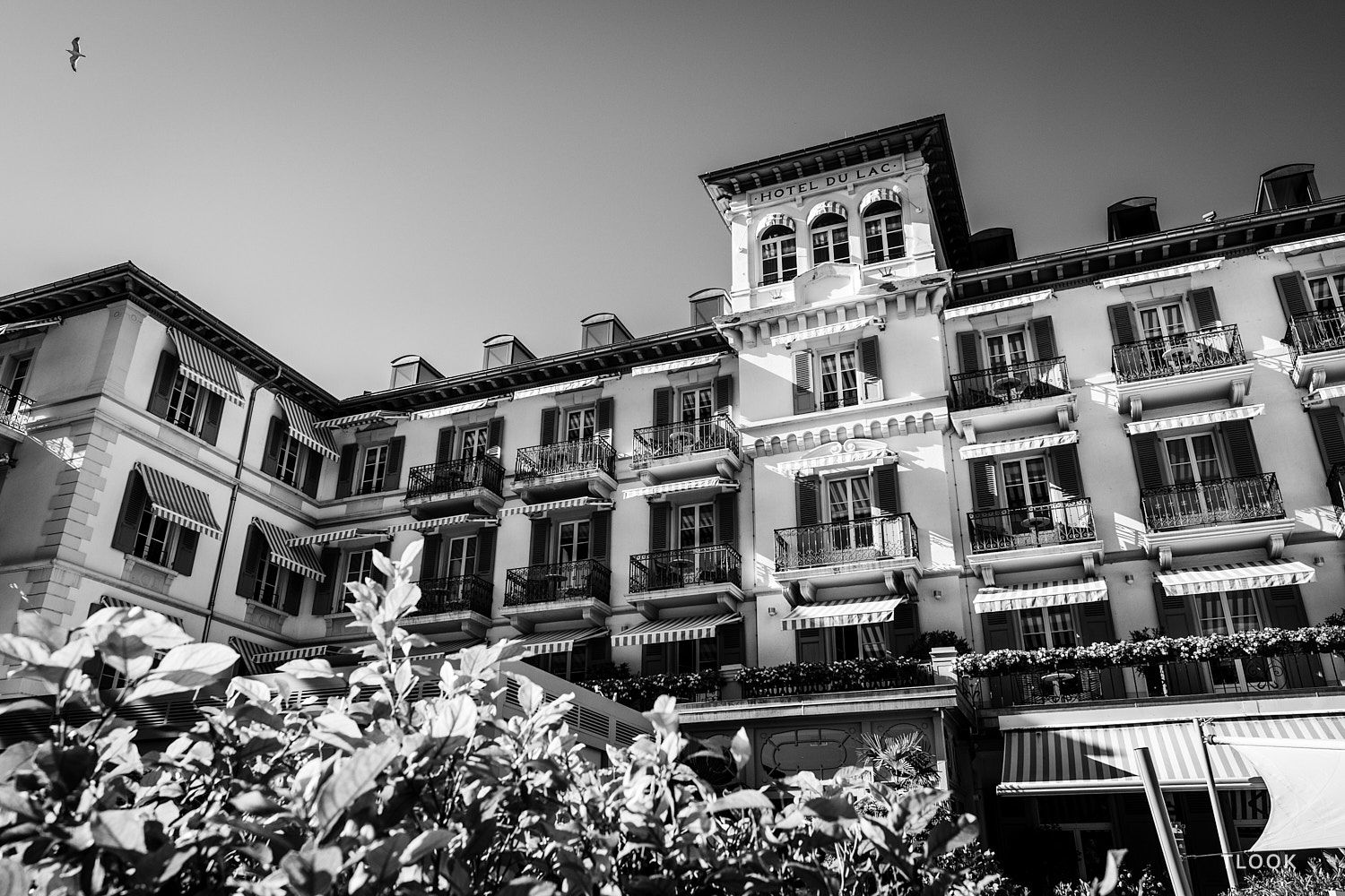 TLOOK photographe de mariage de style documentaire, au grand hôtel du lac cocktail sur la terrasse