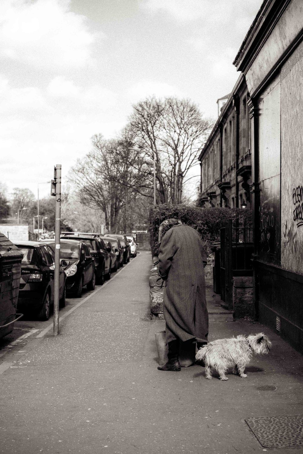 A person walking a small white dog down a street lined with parked cars in black and white.