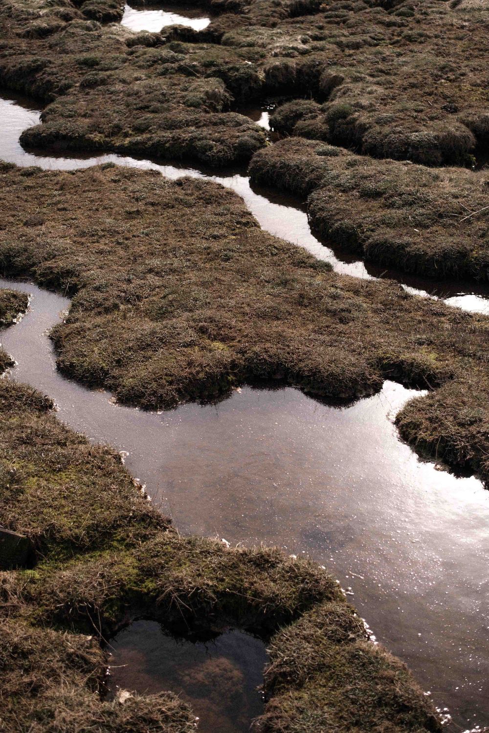 Aerial view of winding water channels cutting through dark marshy terrain.
