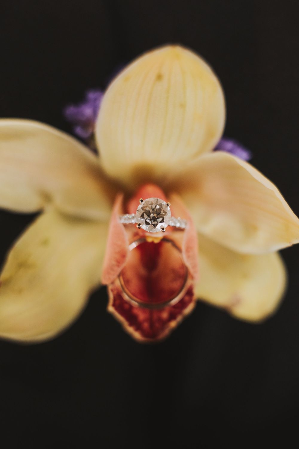 Boda hindú en el hotel Grand Hyatt de Bogotá, Colombia