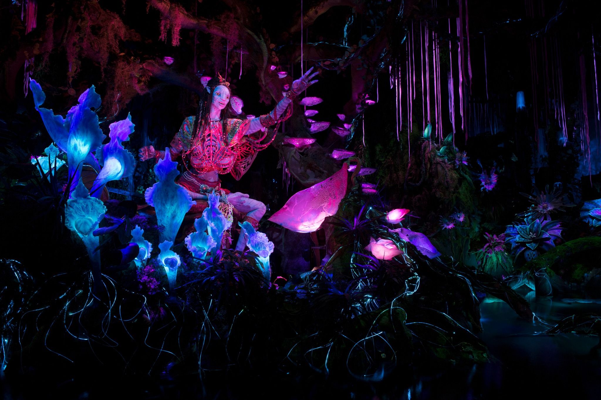 Colorful neon lights illuminate a dark forest scene with glowing mushrooms and mystical fantasy elements.
