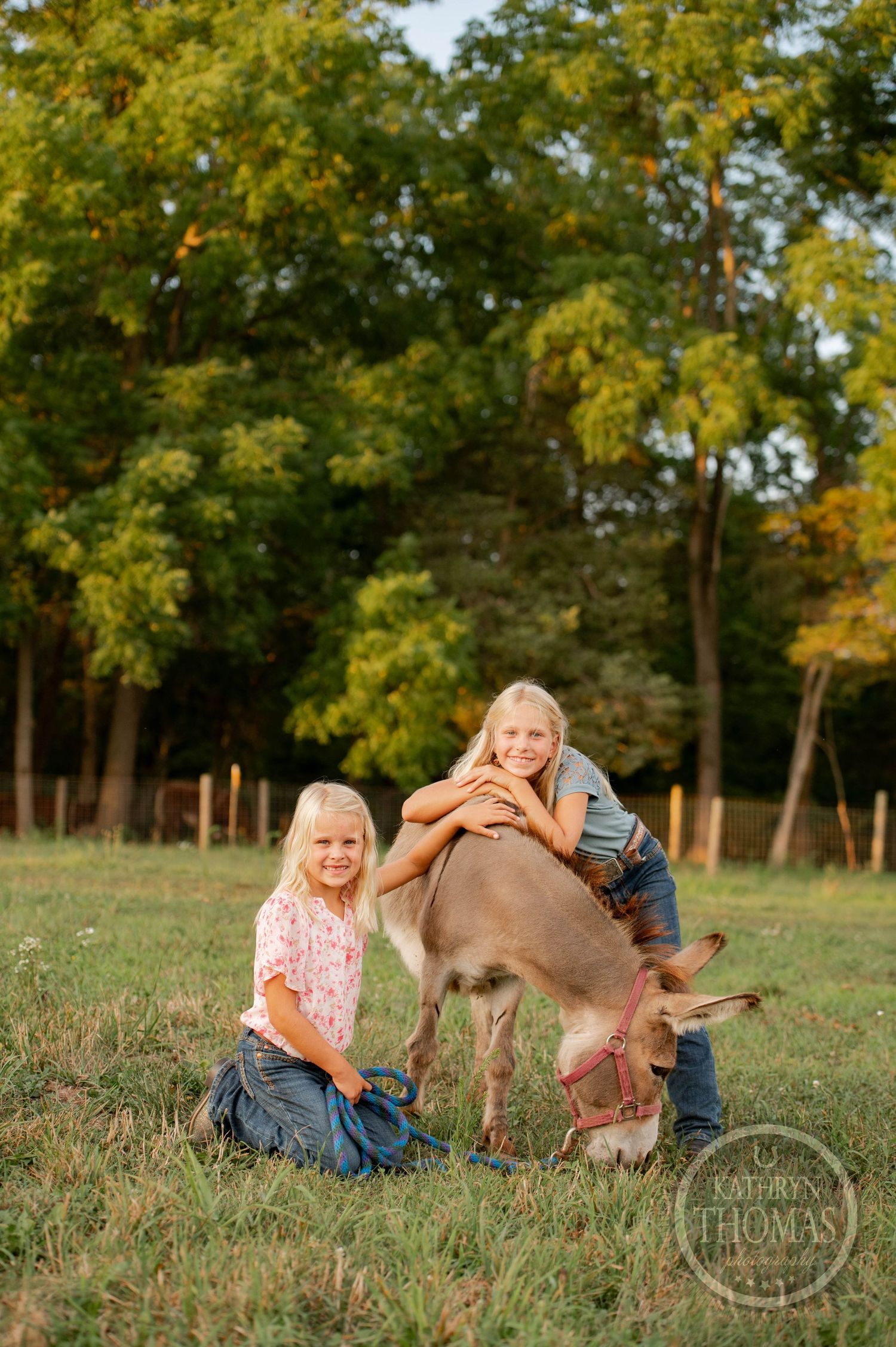 Youth interact with a calf in a pastoral setting near wooded area.