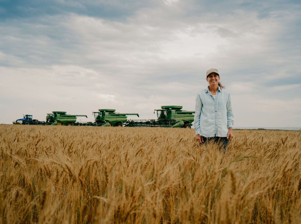 A woman standing in a golden wheat field with combines and tractors in the background