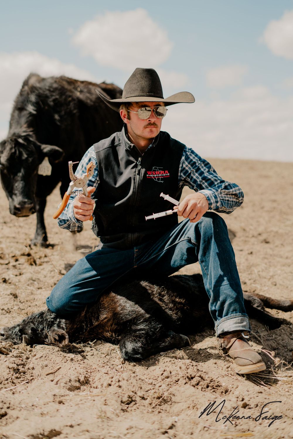 A young cowboy doctoring a baby calf