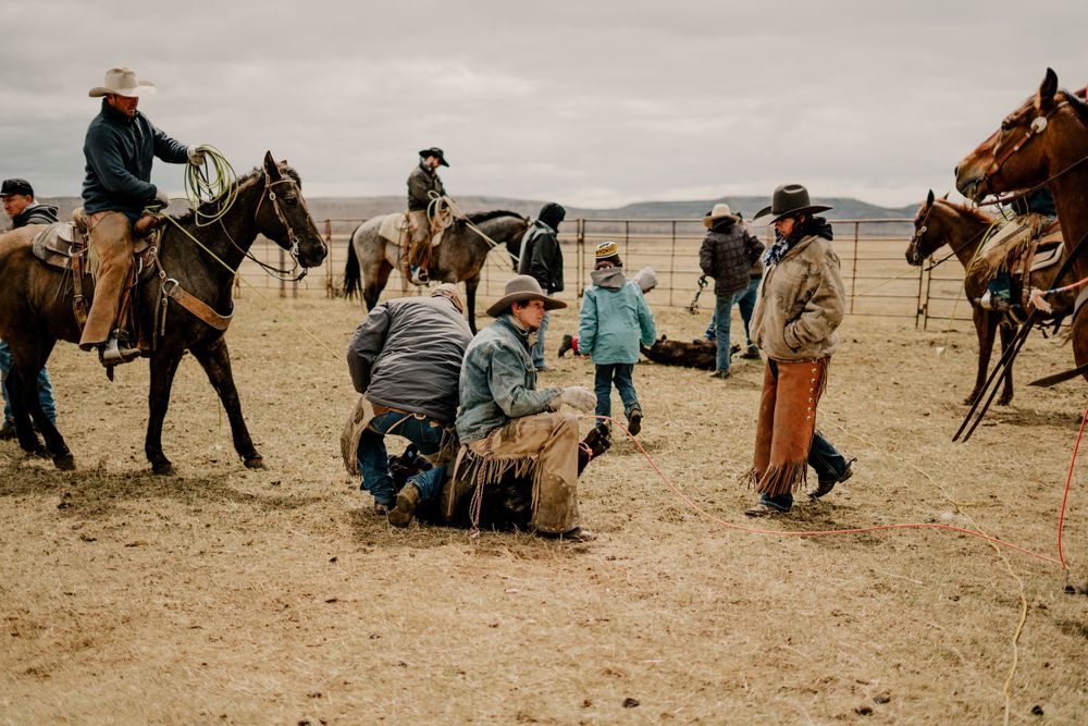 Western branding scene with cowboys and horses