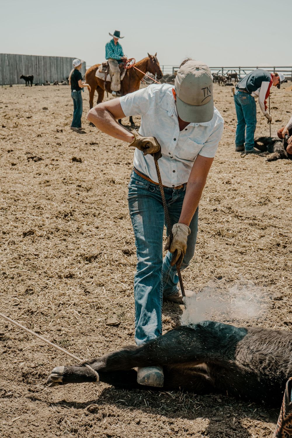 A woman branding a calf with horses and cowboys in the background