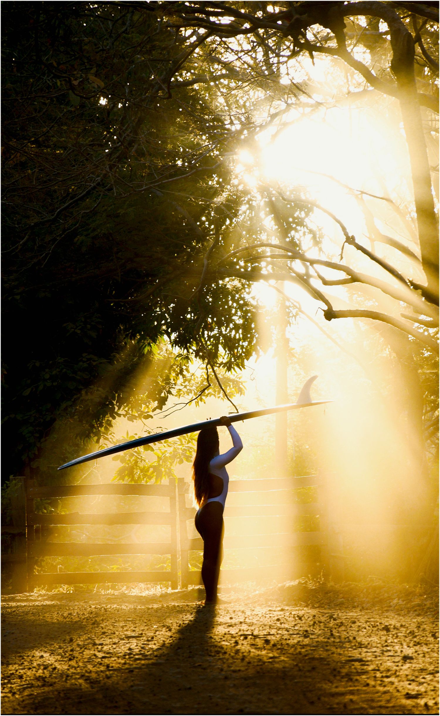 Silhouette of a surfer carrying longboard through misty forest at sunrise with golden sunbeams streaming through trees.