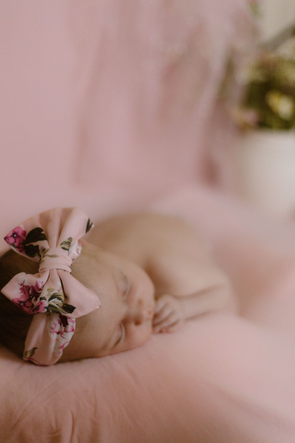 Delicate pink flowers rest gently against a soft pink background creating a dreamy botanical composition.