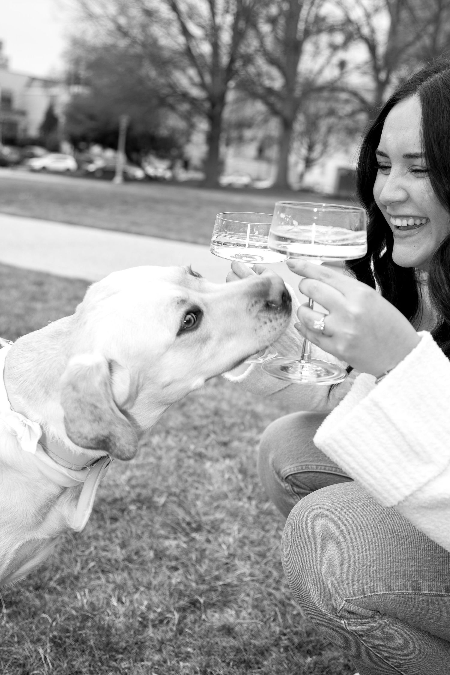 Black and white photo of a white dog curiously looking at a champagne glass.