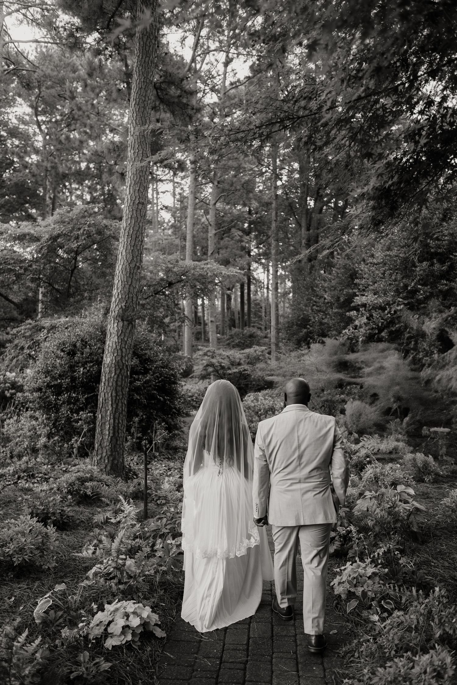 A couple walks along a garden path surrounded by tall evergreen trees in black and white.