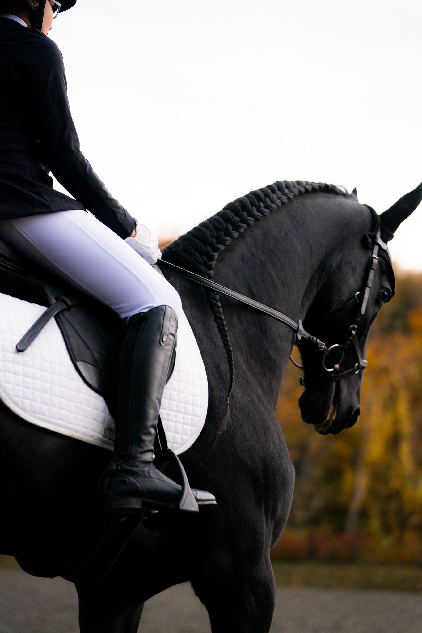 Elegant dressage rider in traditional attire aboard a majestic black horse with braided mane.