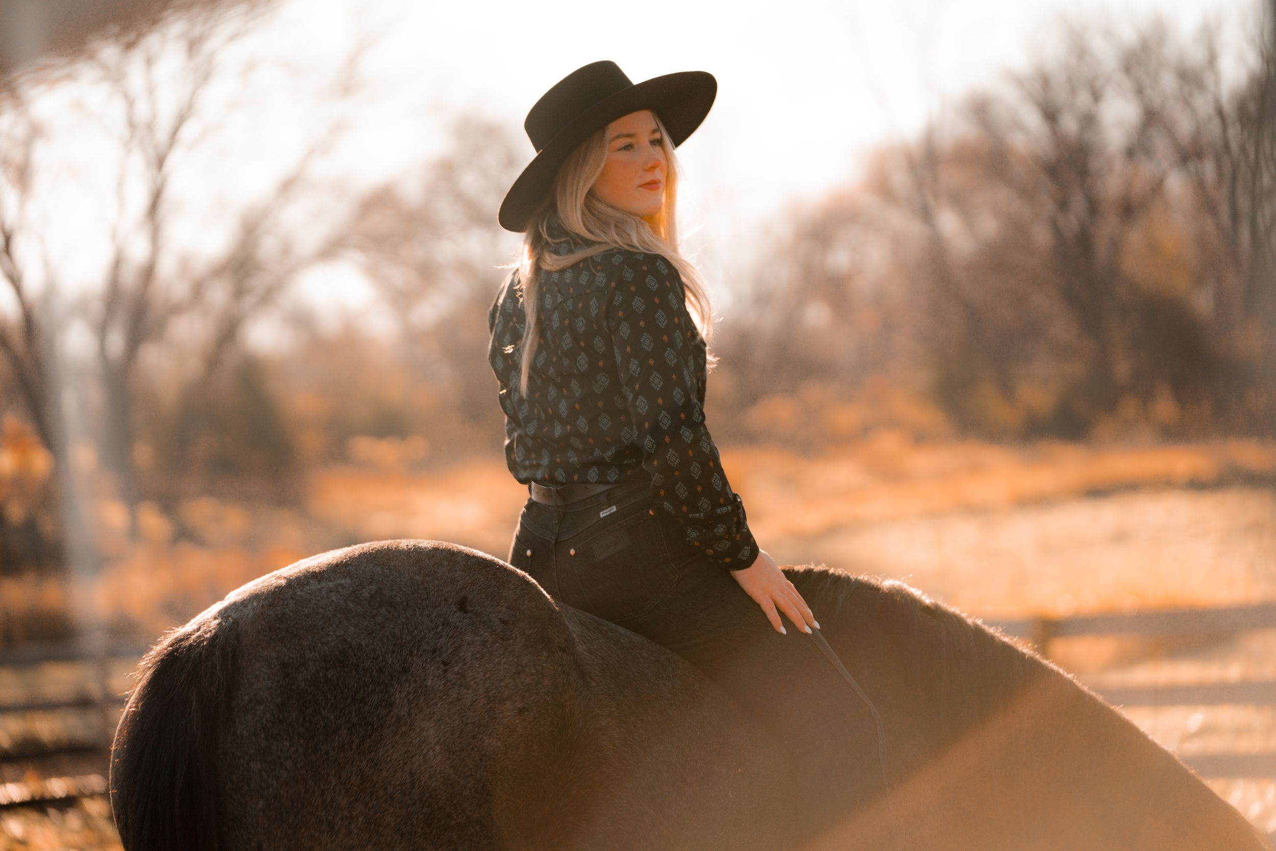 Equestrian portrait silhouette at sunset with person wearing wide-brimmed hat.