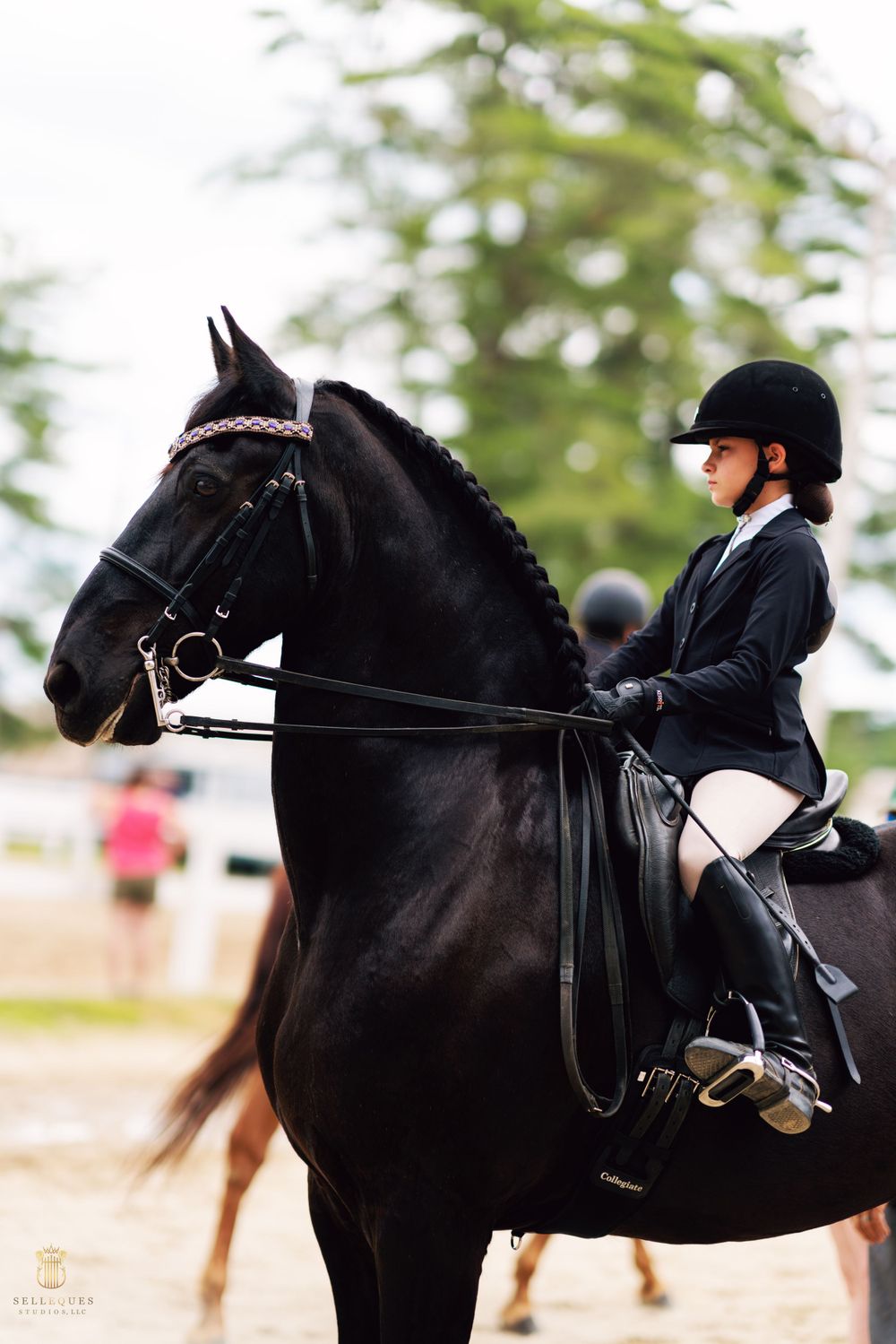 Black horse and rider in formal equestrian attire during a dressage competition.