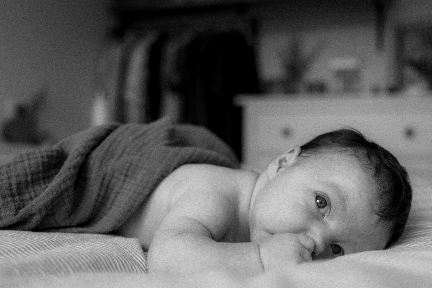 photographe famille toulouse