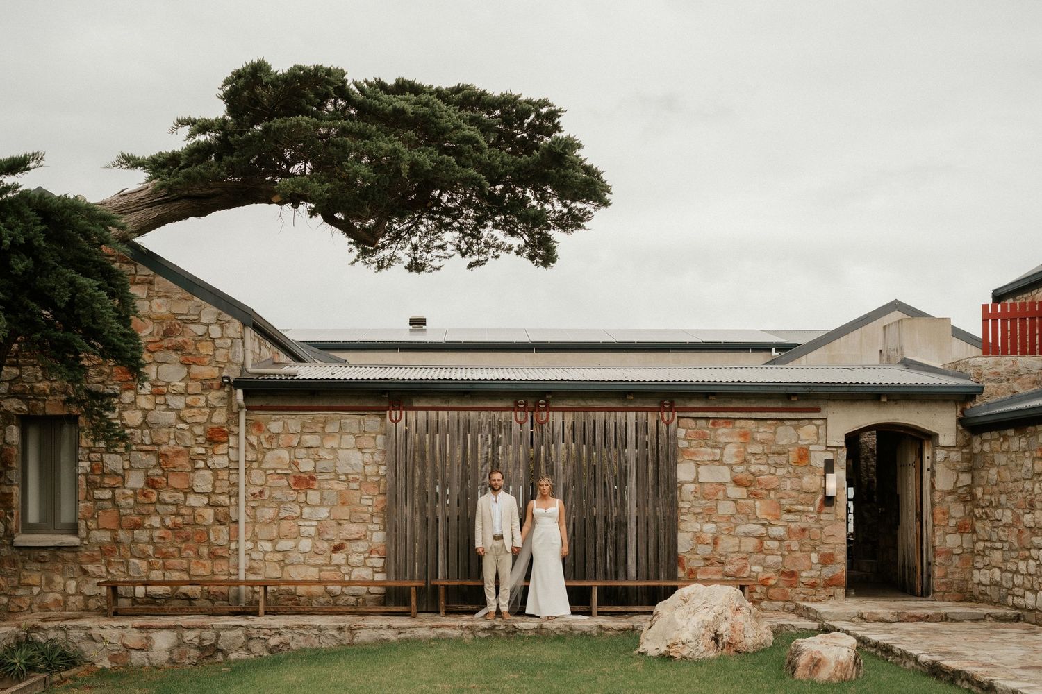 A couple stands against a rustic barn door beneath a wind-swept cypress tree.