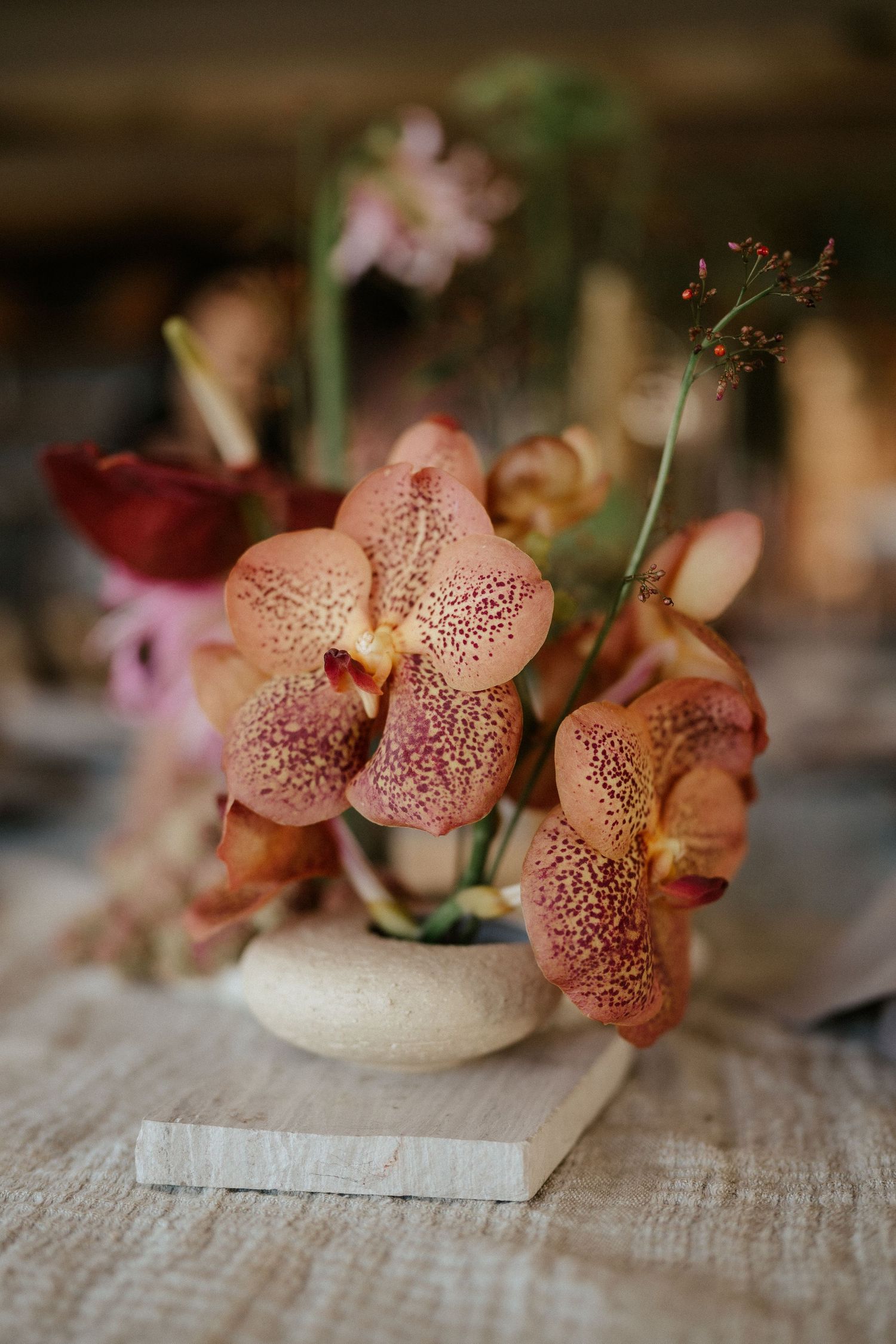 Speckled peach orchids arranged in a small white vase on rustic wooden table with soft focus background.