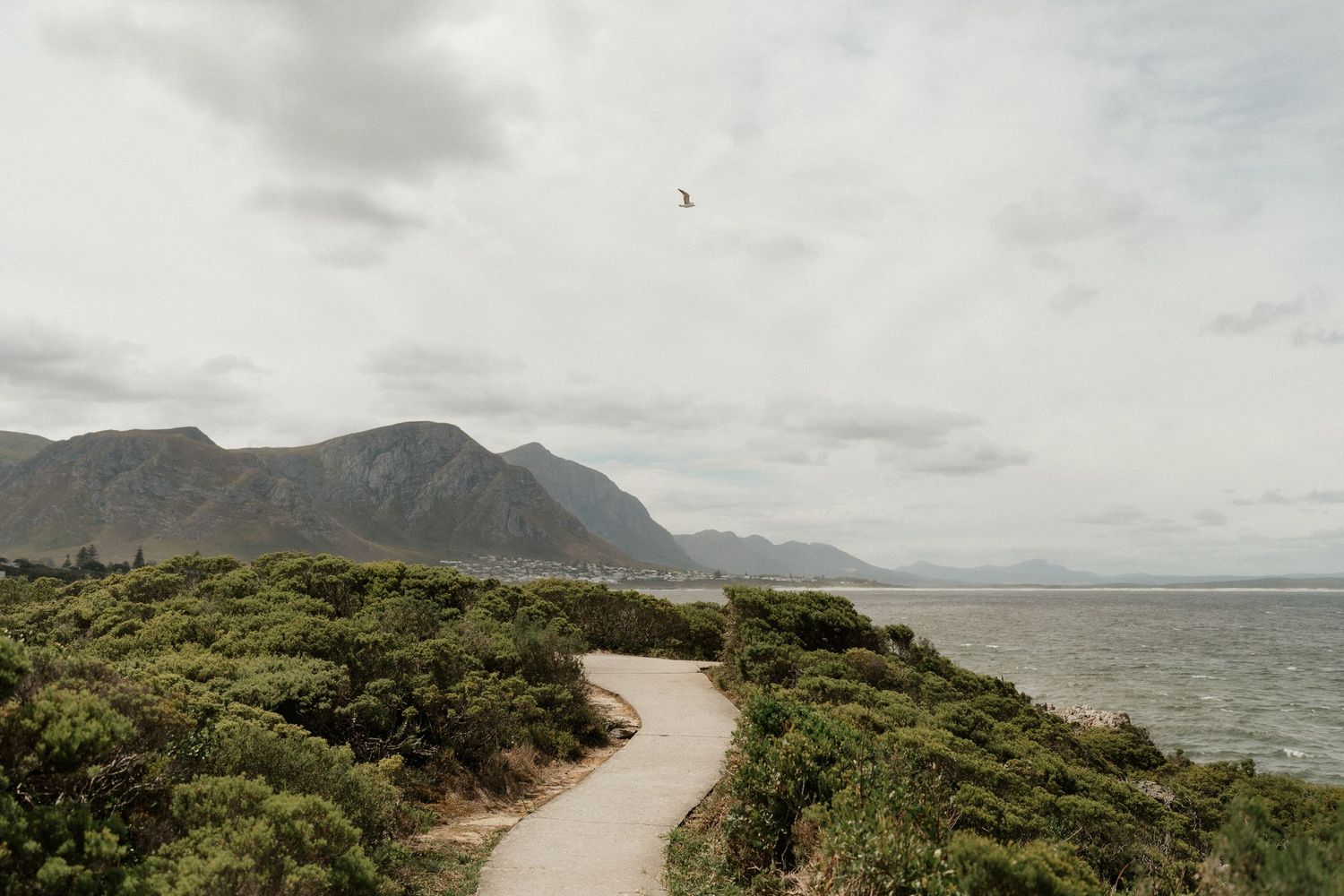 Curved coastal path winding along mountainous shoreline under cloudy skies.