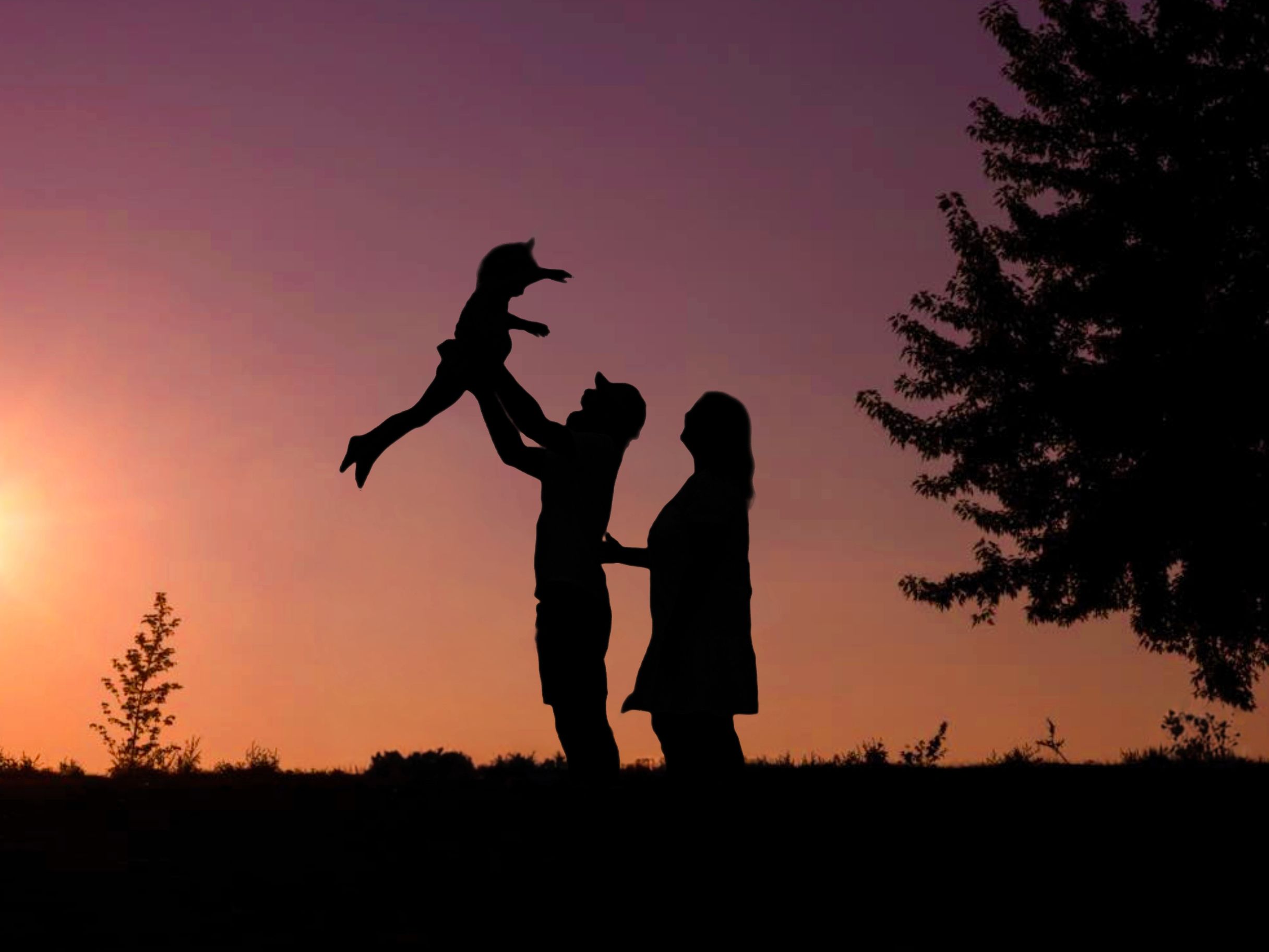 Silhouettes of people dancing and playing against a vibrant sunset sky with trees in the background.