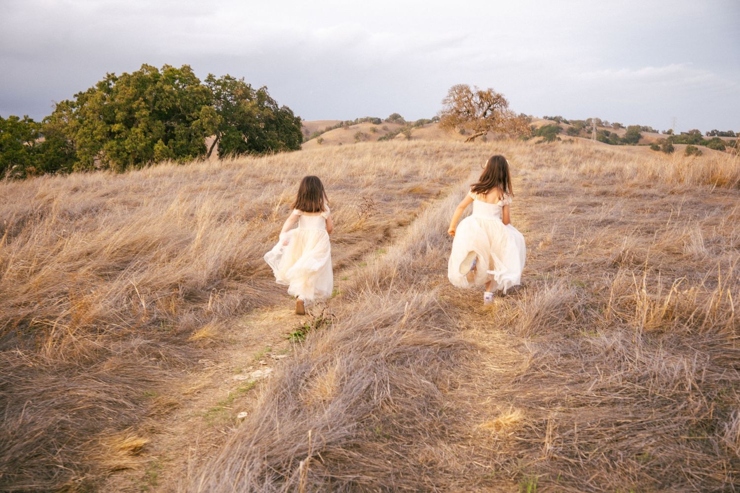 A series of ethereal photos showing someone in a white dress walking through golden sunlit hills at sunset.