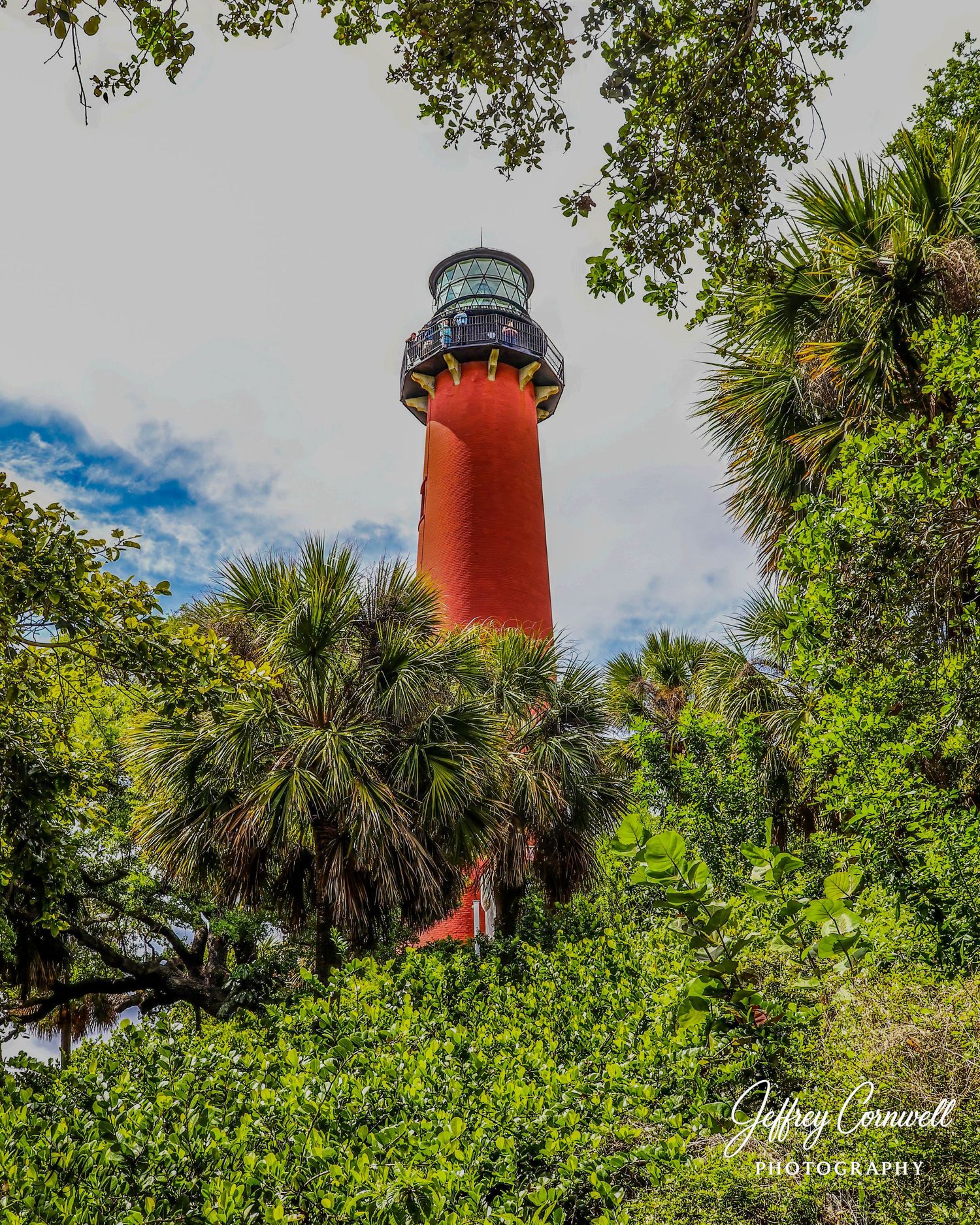 Red lighthouse tower peeking through lush tropical foliage and palm trees.