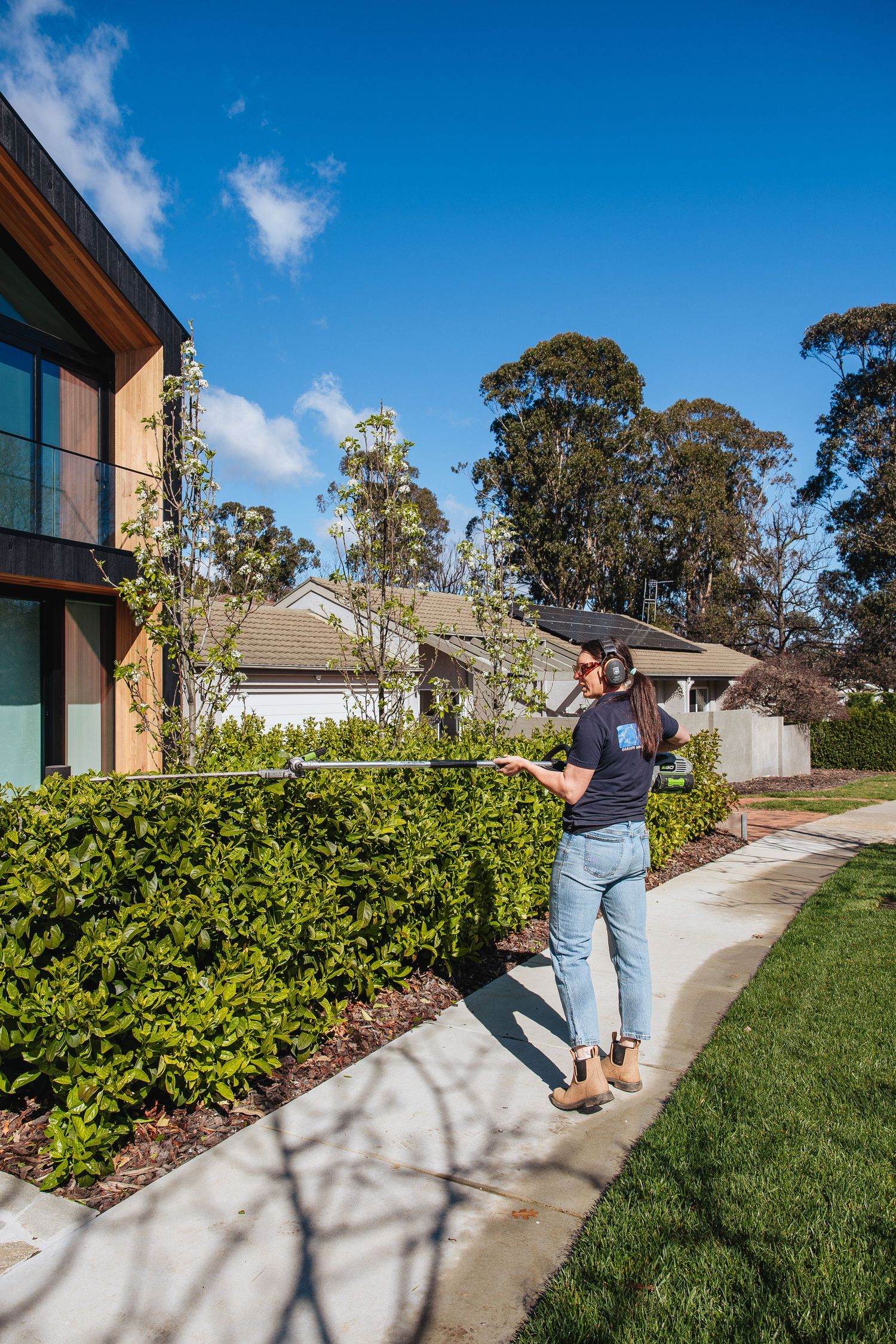 Person walking on a concrete path beside a modern house with manicured hedges and eucalyptus trees on a sunny day.