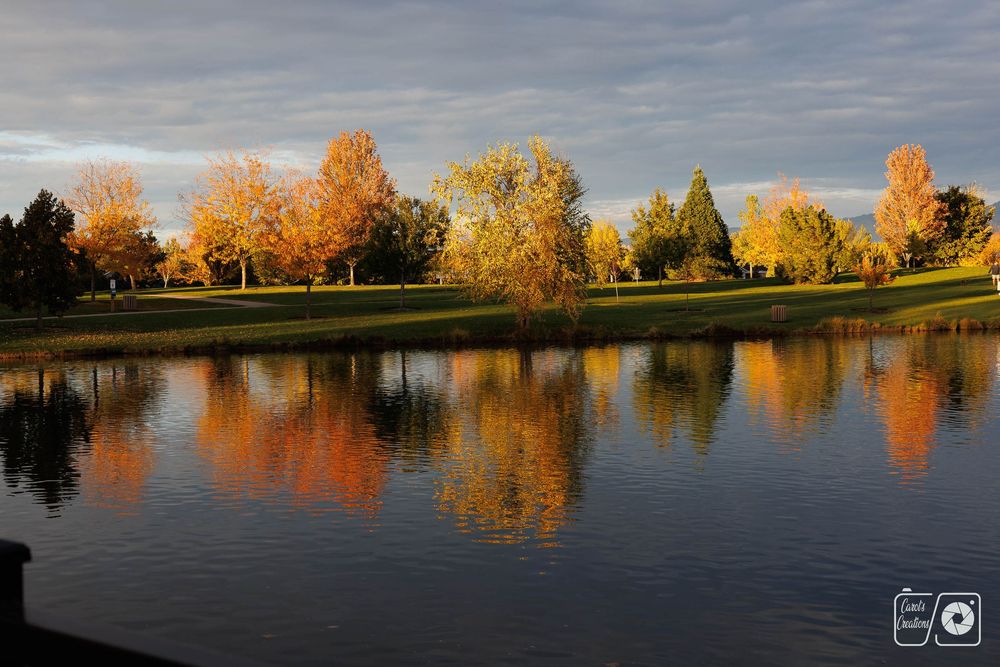 Landscape