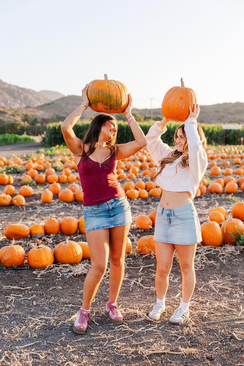 Two friends holding large pumpkins overhead at a pumpkin patch with mountains in background.