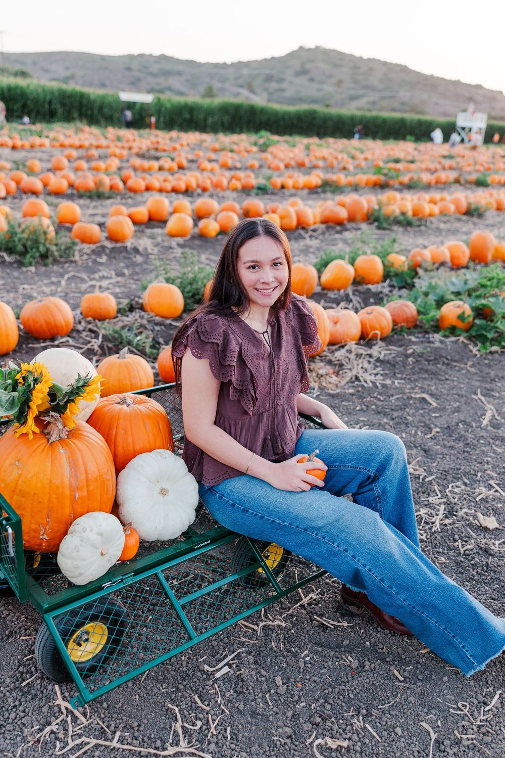 A casual autumn photo session among rows of orange pumpkins with mountains visible in the distance.
