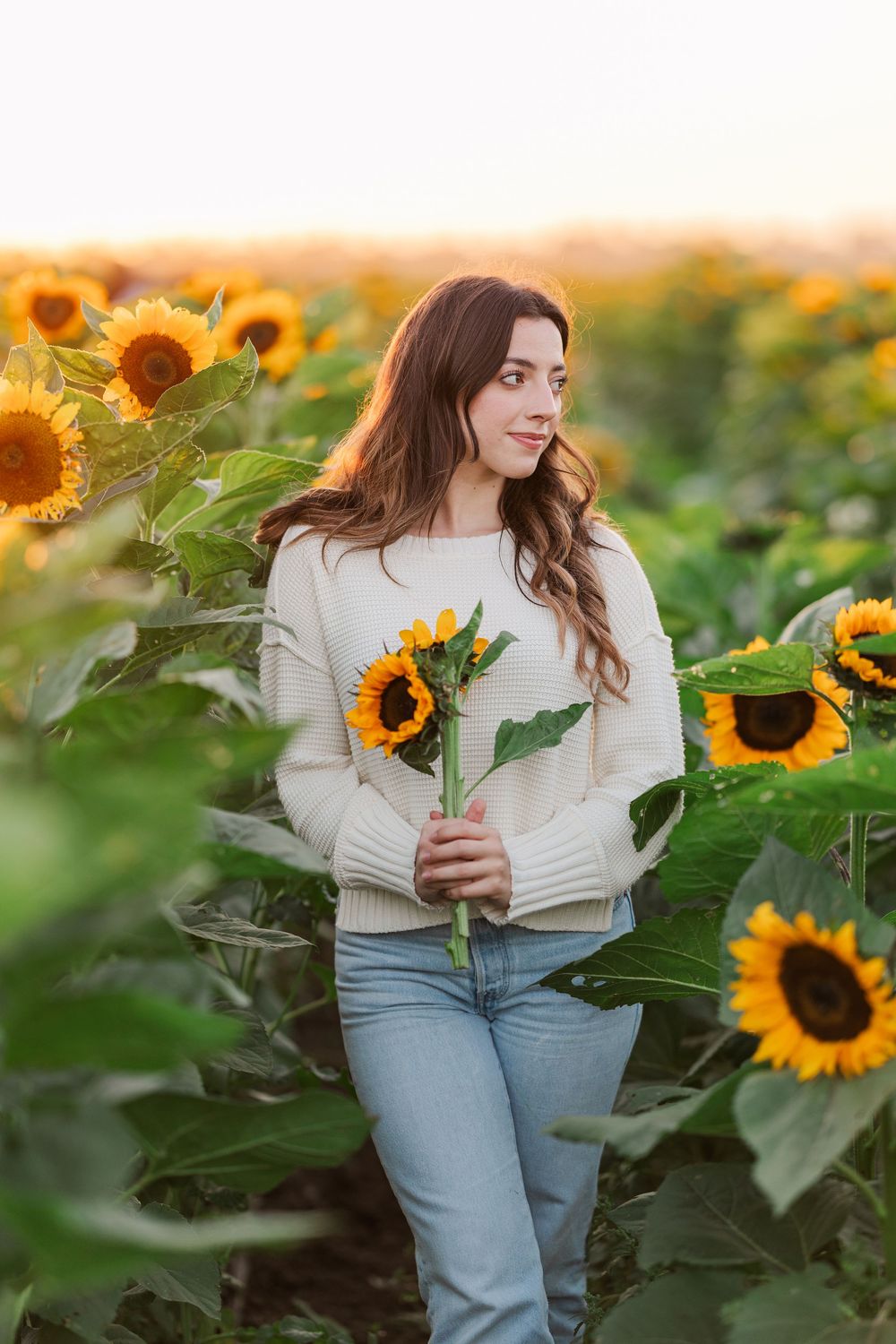 A person in a cream sweater and jeans stands among vibrant blooming sunflowers at sunset in a golden field.