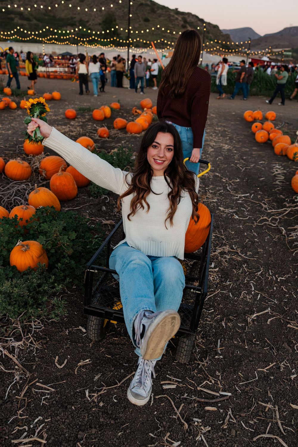 A festive autumn scene at a pumpkin patch with string lights overhead and orange pumpkins scattered on the ground.